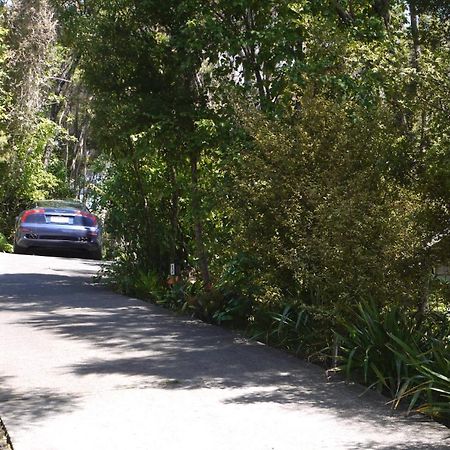 Bay Of Islands Holiday Apartments Paihia Værelse billede