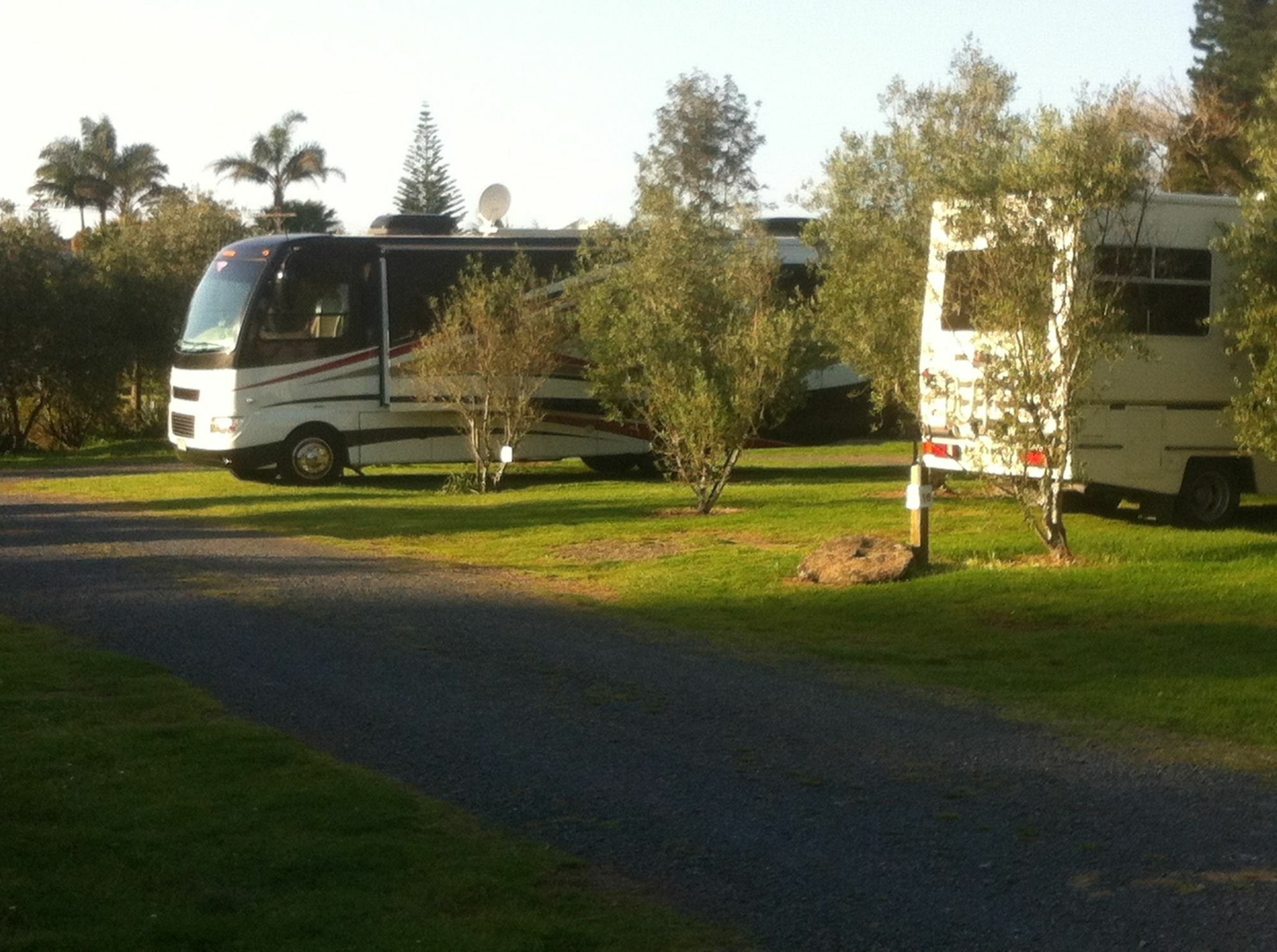 Bay Of Islands Holiday Apartments Paihia Eksteriør billede