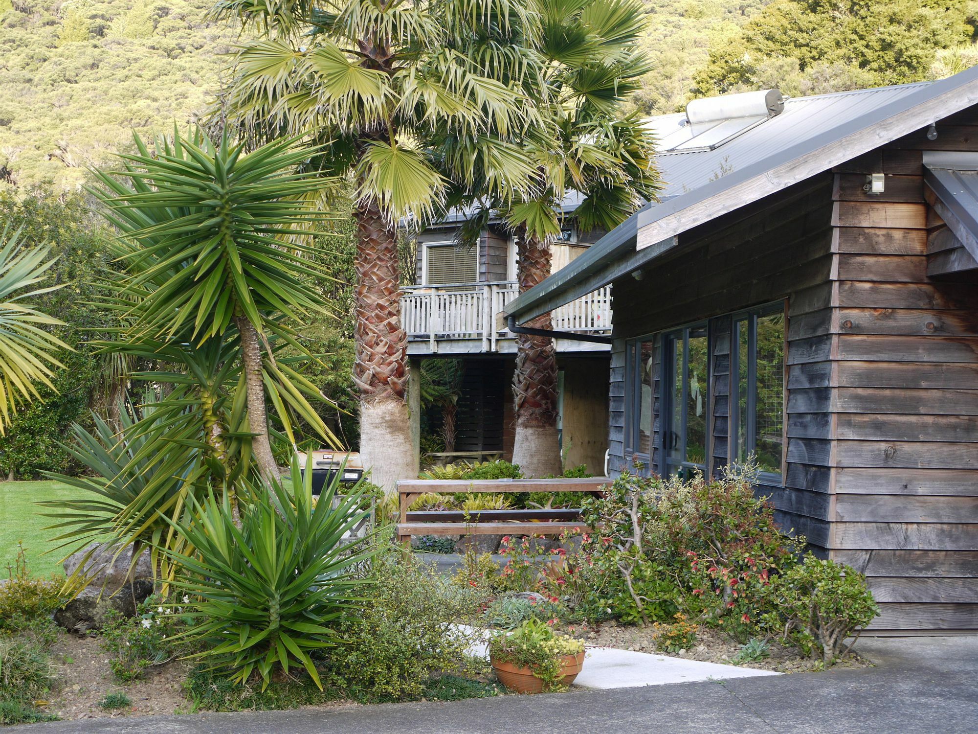 Bay Of Islands Holiday Apartments Paihia Eksteriør billede